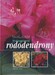 Stálezené rododendrony